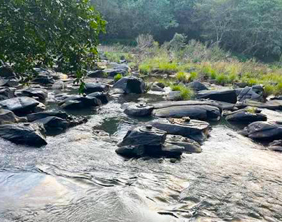 Sahasralinga